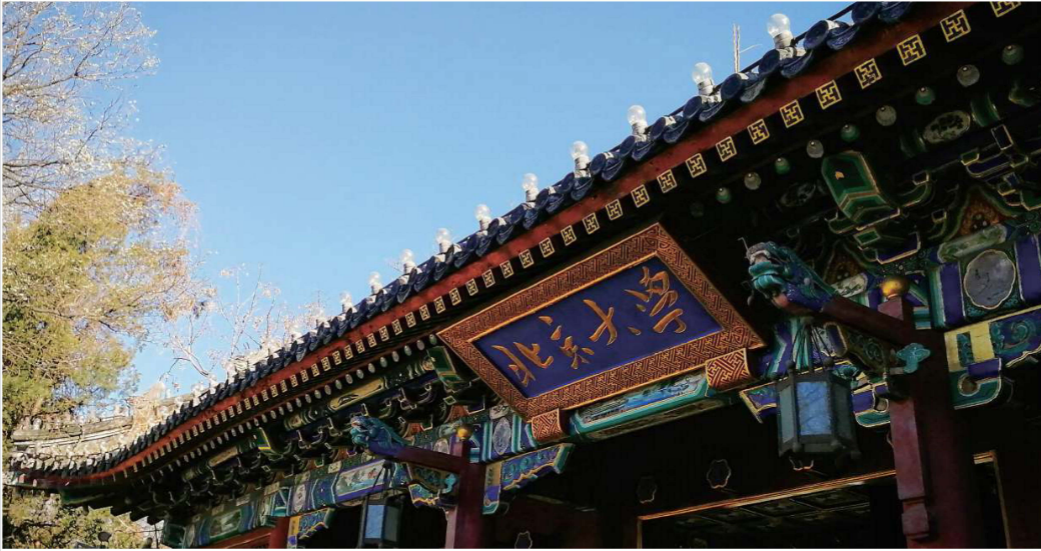 北京大學(xué)&英國倫敦大學(xué)學(xué)院